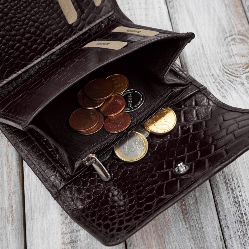 Portfel damski skórzany mały brązowy croco w orientacji poziomej z ochroną RFID Paolo Peruzzi T-135-BR