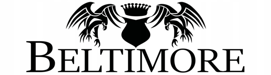 Męska torba na ramię raportówka A4 listonoszka czarna pojemna elegancka czarna F54