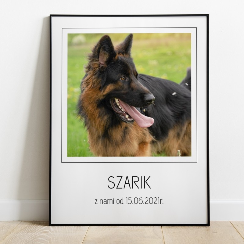 Plakat dla psiarza ze zdjęciem pupila Z nami od... w ramie