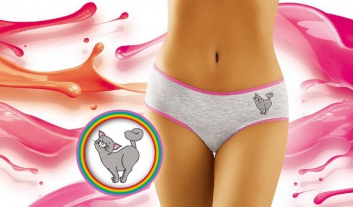 Figi damskie Wol-Bar Kicia 2504