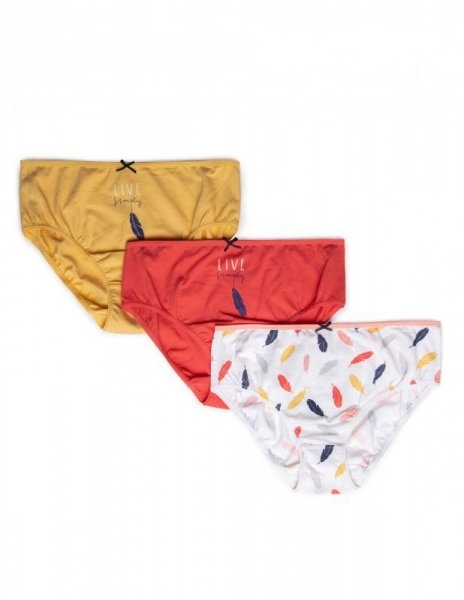 Figi damskie Lama L-122 BIB 38 3-pak