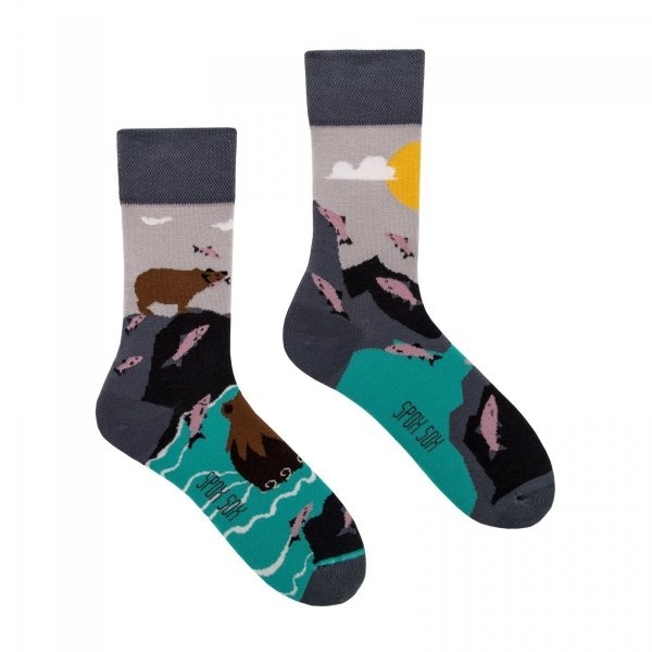 Skarpetki niedźwiedzie spox sox