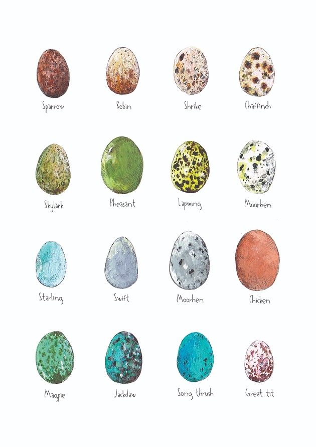 Image of Jajka - grafika- ilustracja- plakat- eggs