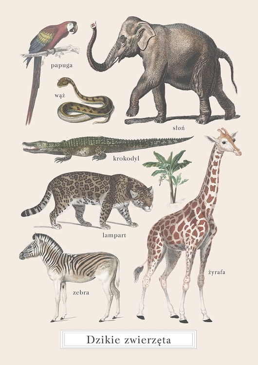 Image of Plakat Zwierzęta Dzikie Vintage na Safari