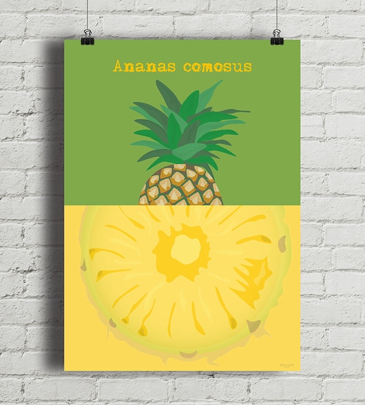 Image of Pakamera Ananas - plakat fine art 50x70 cm