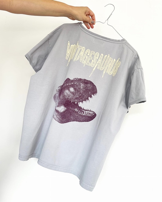 Image of Pakamera T-shirt Vintagesaurus grey