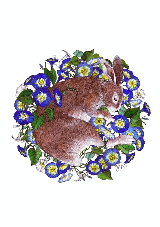 Image of Pakamera Śpiący królik - grafika- ilustracja