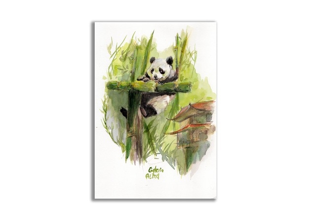 Image of Pakamera Akwarela ręcznie malowana Panda