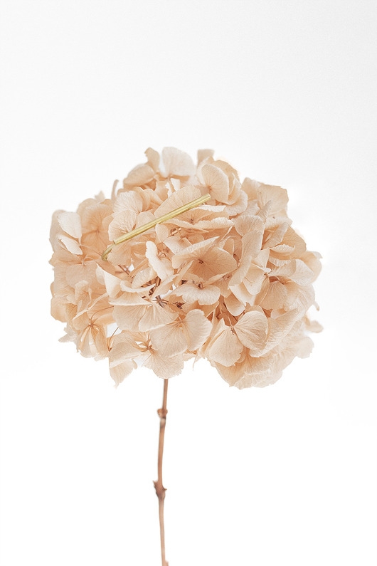 Image of Pakamera Bransoletka SIMPLE
