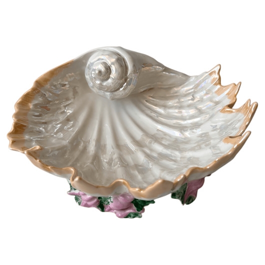 Image of Pakamera Patera muszla