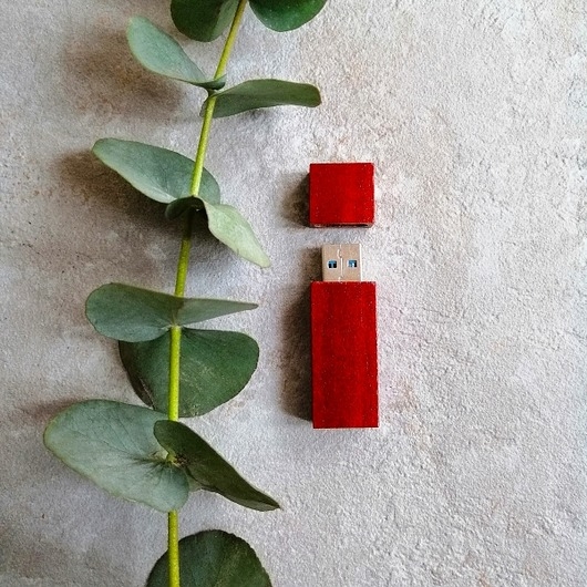 Image of Pakamera Pendrive SteamMEMORY of Wood - pod grawer