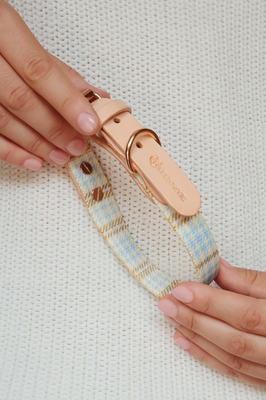 Image of Pakamera Obroża Łączona Light Blue / Nude Leather 2 cm