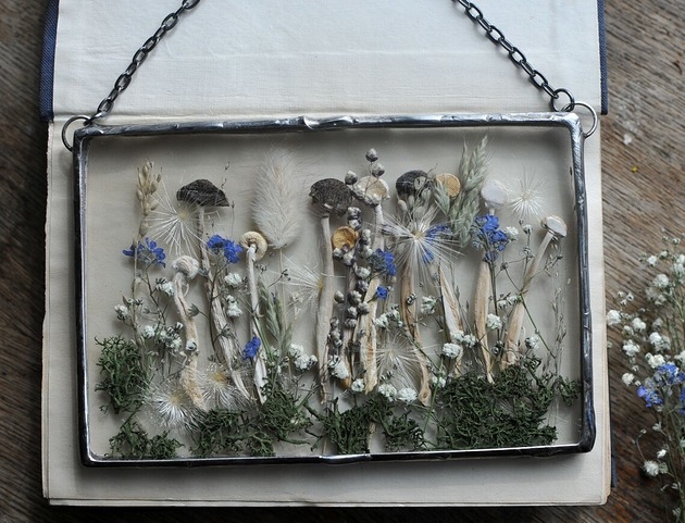 Image of Pakamera Grzyby i Mech