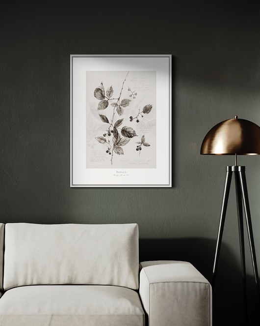 Image of Pakamera Plakat Jeżyna