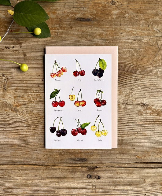 Image of Pakamera Cherries- Kartka- Grafika- Ilustracja- Owoce