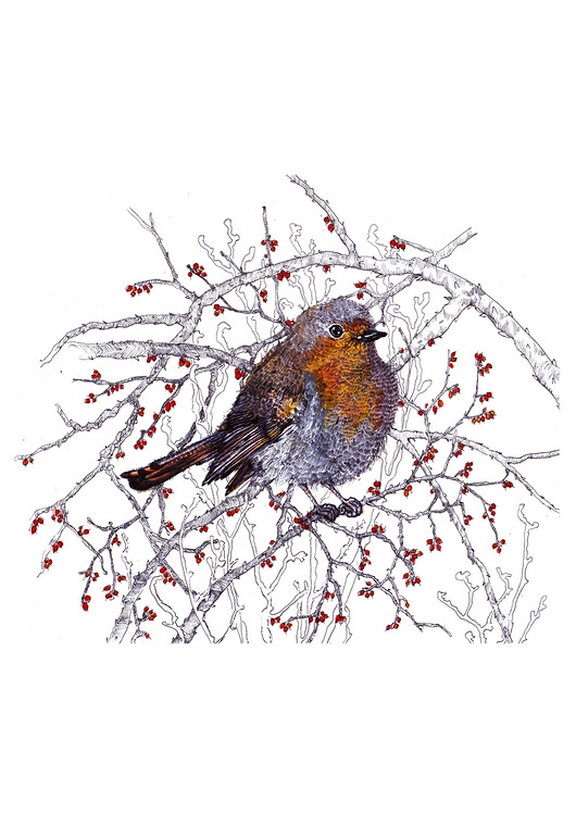 Image of Pakamera Rudzik- grafika- ilustracja