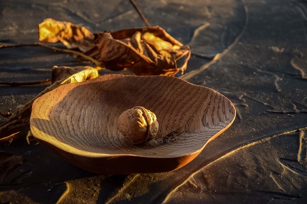 Image of Miseczka z drewna, tacka na biżuterię woodwasp