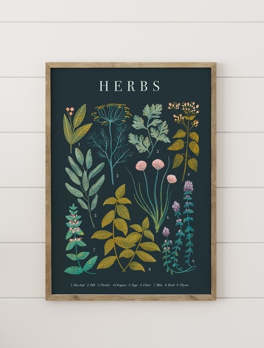 Image of Plakat botaniczny Herbs 30x40