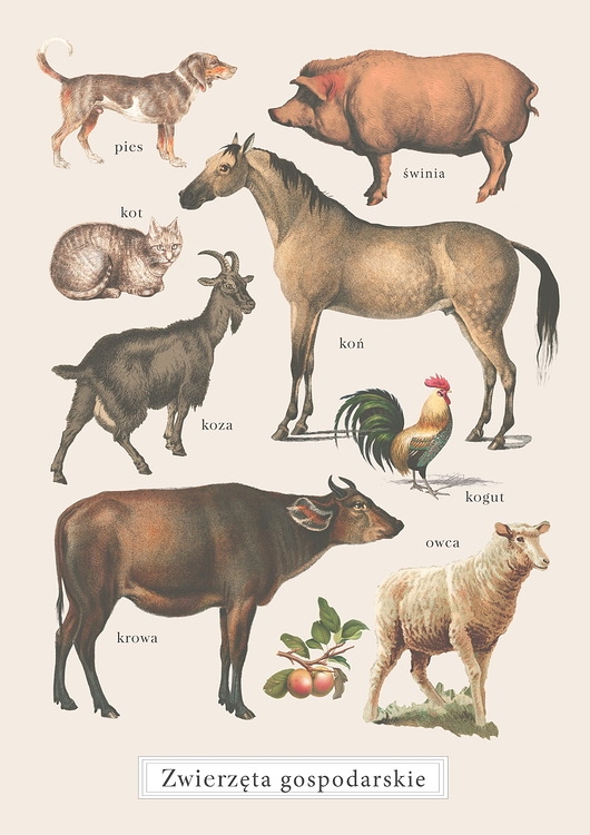 Image of Plakat Zwierzęta gospodarskie Vintage na farmie