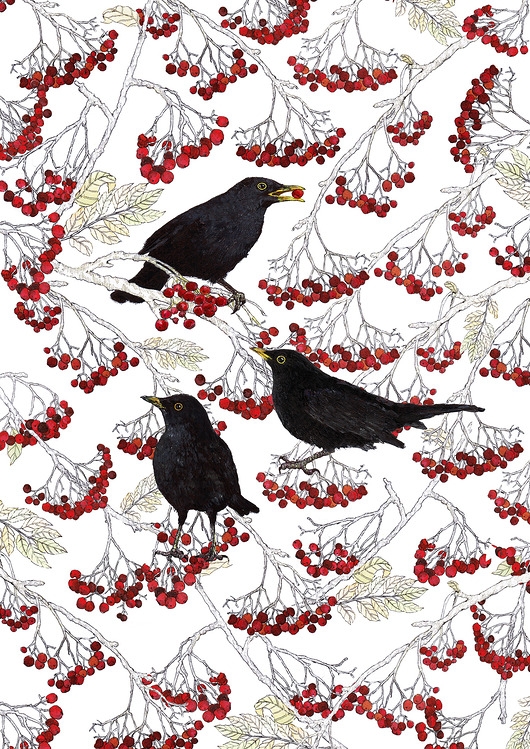 Image of Pakamera Kosy w jarzębinie - Grafika- Ilustracja- Ptaki