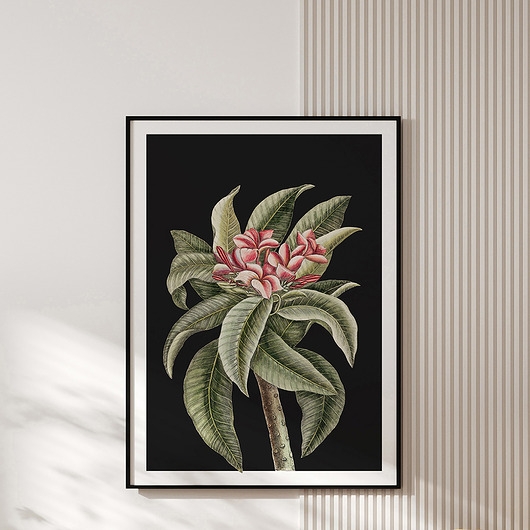 Image of Plakat vintage - botaniczna ilustracja no.2