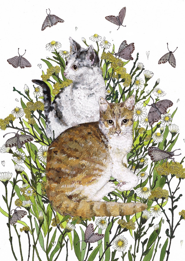 Image of Pakamera Kotki dwa- plakat- ilustracja- koty- plakat