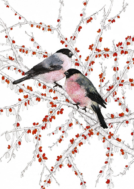 Image of Pakamera Gile- Plakat- Grafika- Ilustracja- Ptaki
