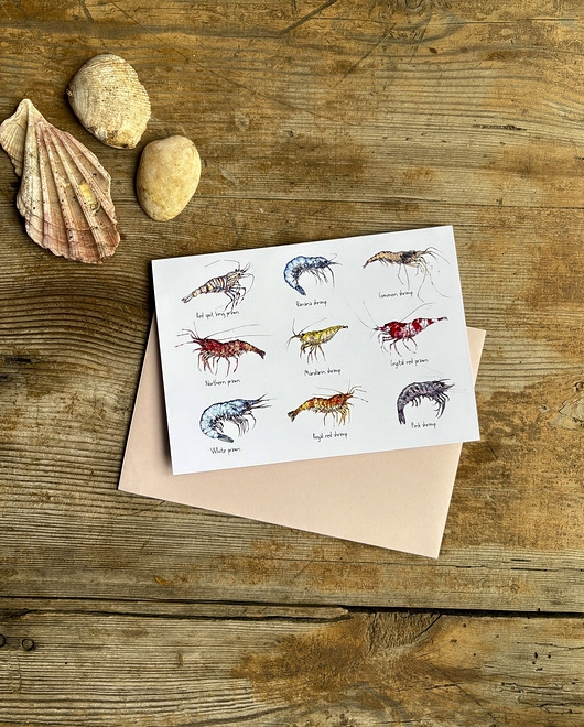 Image of Pakamera Krewetki- Prawns- Kartka- Grafika- Ilustracja