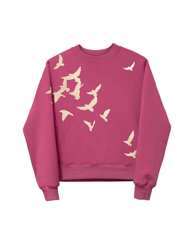 Image of Bluza sky pink