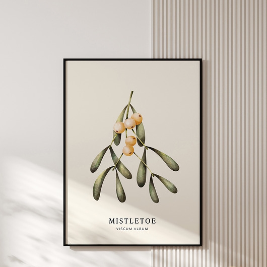 Image of Plakat MISTLETOE