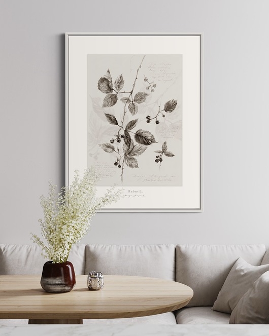 Image of Pakamera Jeżyna print