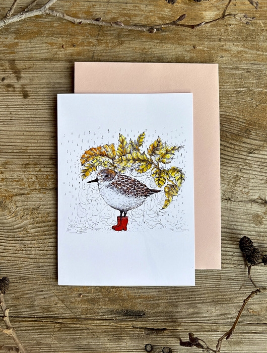 Image of Pakamera Ptaszek w butach- Biegus- Kartka- Grafika- Ilustracja- Ptaki
