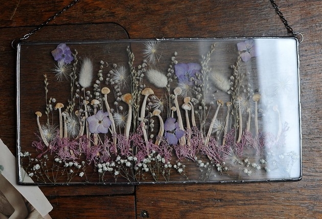 Image of Pakamera Mycelium Dreams