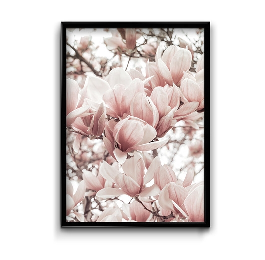 Image of Plakat Magnolia