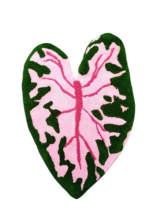 Image of Pakamera Dywan w kształcie liścia kaladium, Caladium Pink Splash