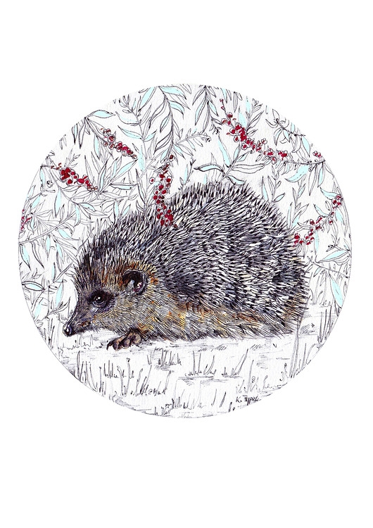 Image of Pakamera Jeżyk- jeż- grafika- ilustracja
