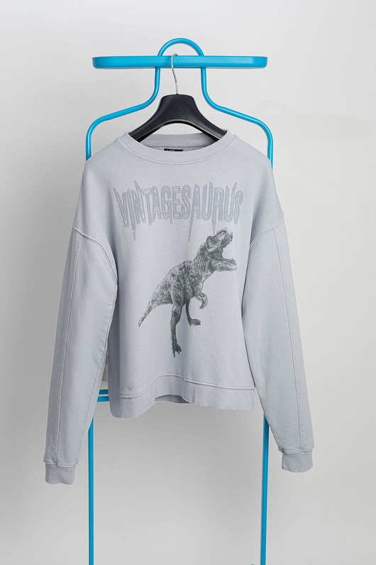 Image of Pakamera Bluza Vintagesaurus Grey Sky