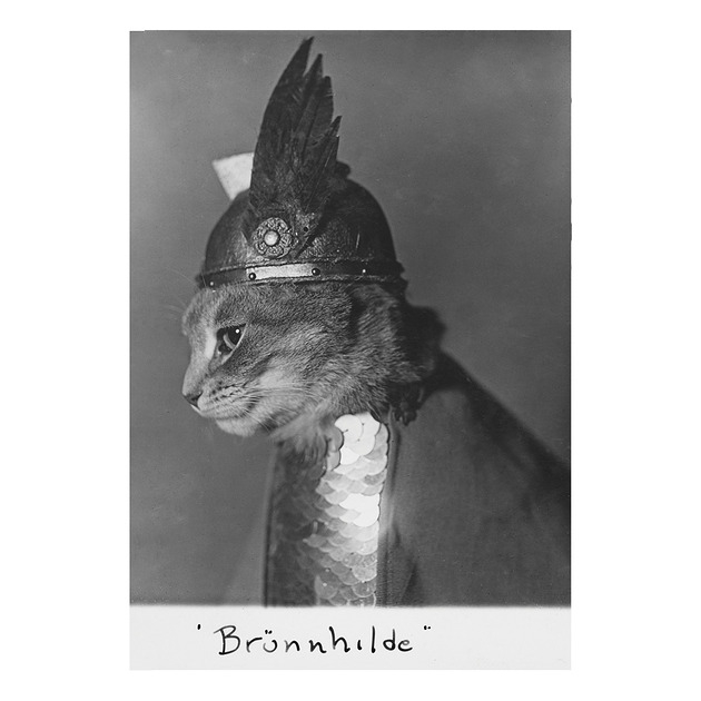 Image of Pakamera Kartka Premium - Adolph Edward Weidhaas Brünnhilde