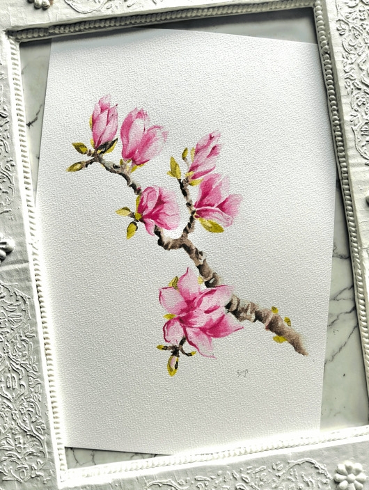 Image of Pakamera Akwarela magnolia