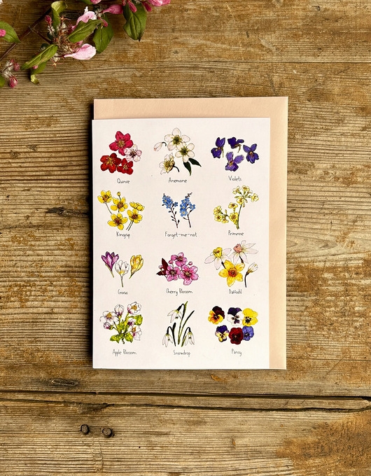 Image of Pakamera Majowa Łąka - Kartka- Grafika- Ilustracja- Natura- Kwiaty