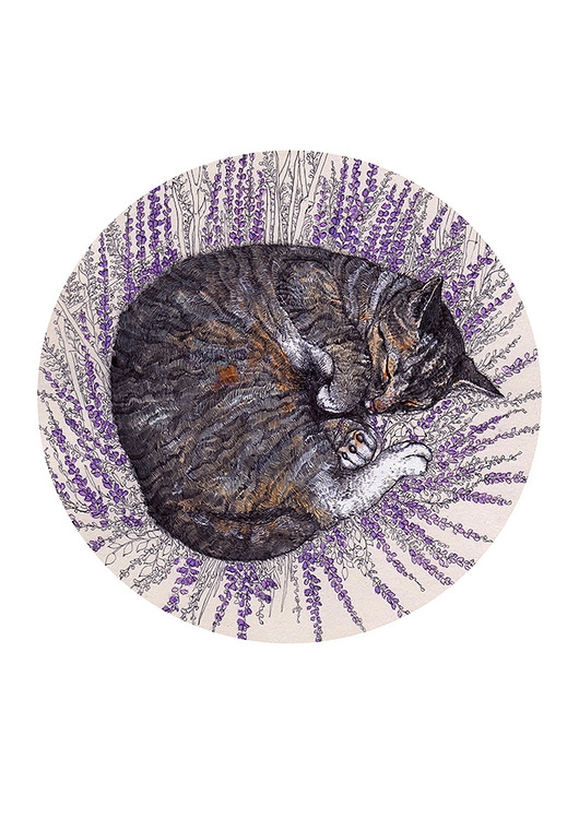 Image of Śpiący kot- plakat- ilustracja