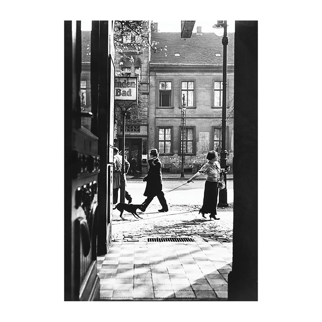 Image of Pakamera Kartka Premium - Roman Vishniac, Krnąbrność