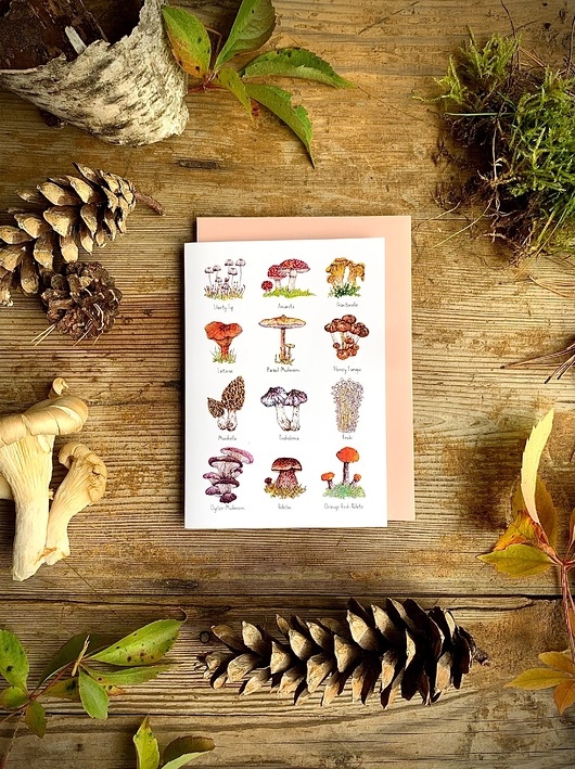 Image of Pakamera Grzyby- Kartka- Grafika- Ilustracja- Las