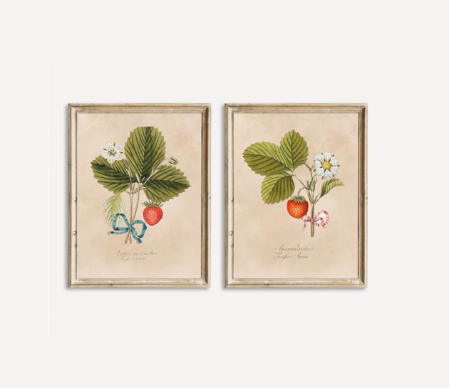 Image of Pakamera DWA PLAKATY truskawki galeria botaniczne owoce