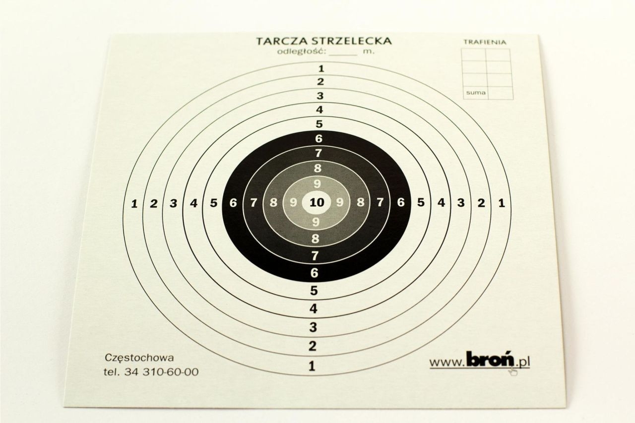 Image of Tarcze papierowe 14x14 cm 100 szt. (3.1414)
