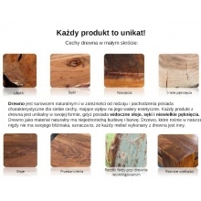 drewniana szafka rtv amazonas 160 cm industrialna sheesham