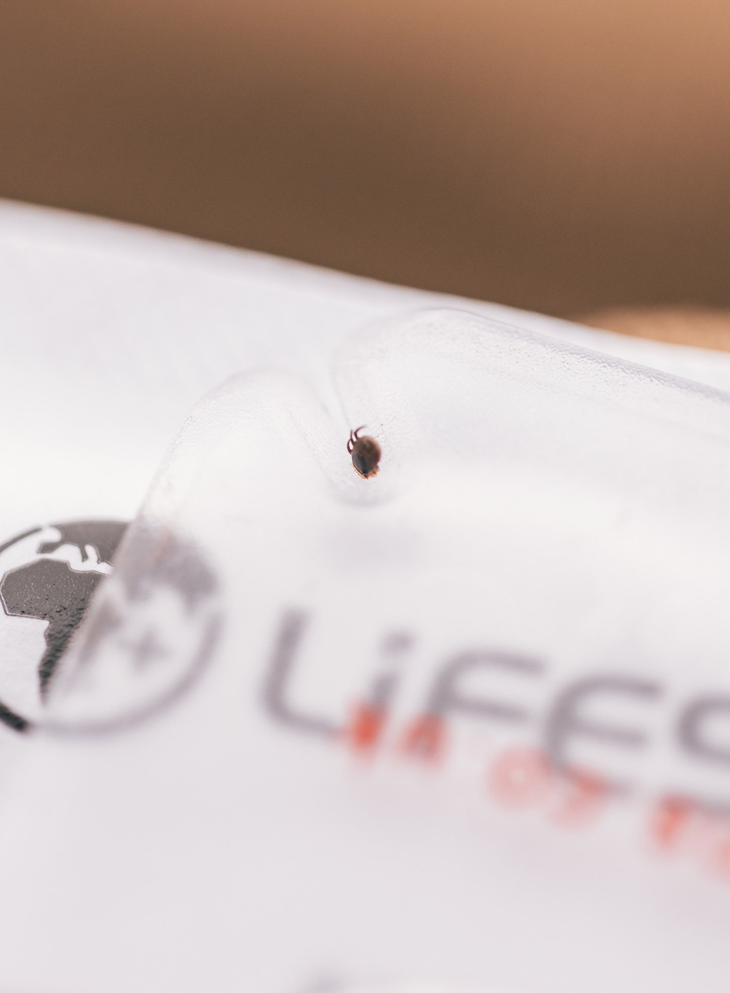 Karta do wyciągania kleszczy Lifesystems Tick Remover Card