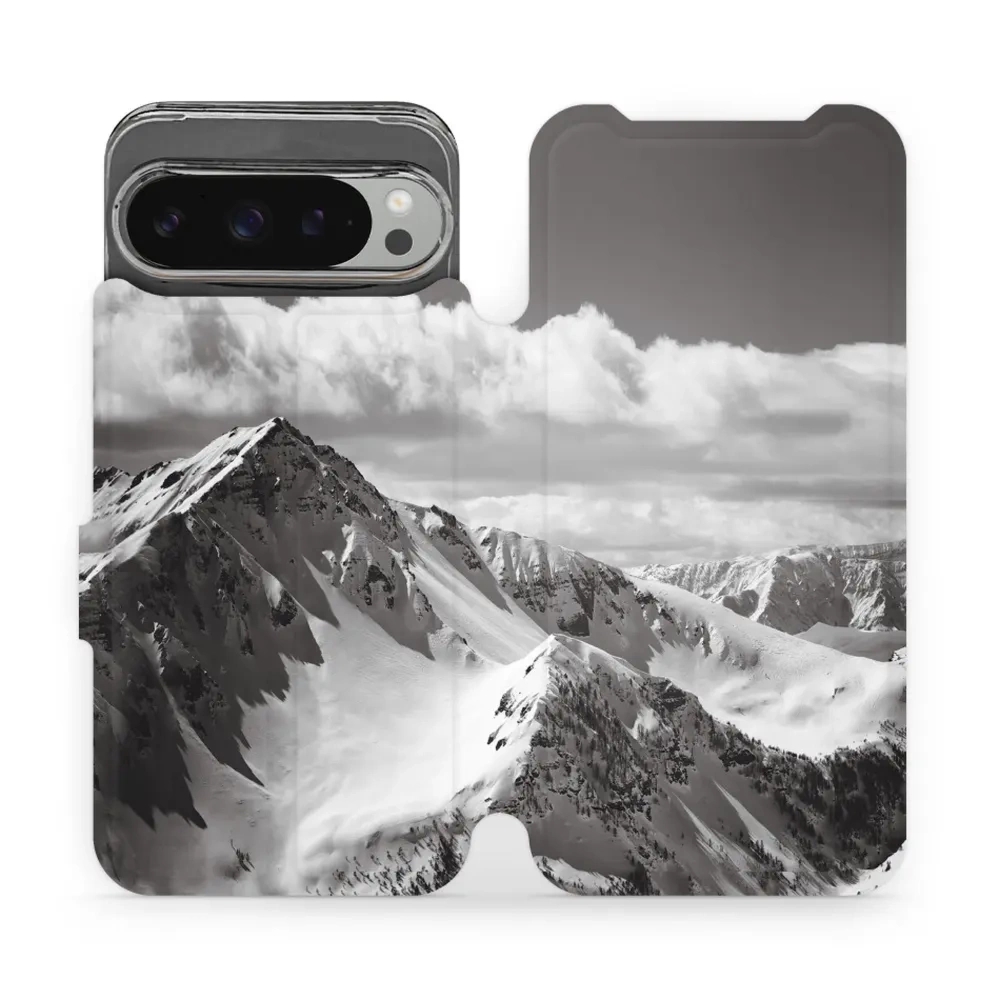 Etui z klapką do Google Pixel 9 Pro XL, Mobiwear Book, górski szczyt