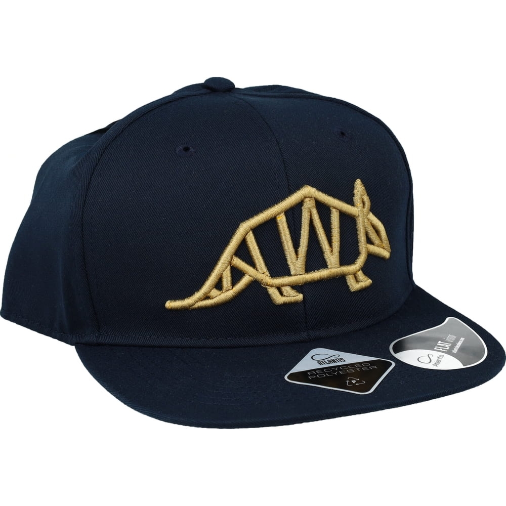 Czapka z płaskim daszkiem James Cap z logo Pancernik.eu, granatowa ze złotym naszyciem