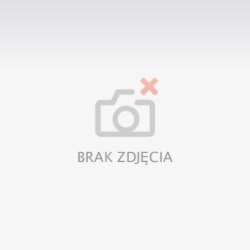 Feromony dla mężczyzn Phero-Musk Perfum Grey 50 ml Aurora